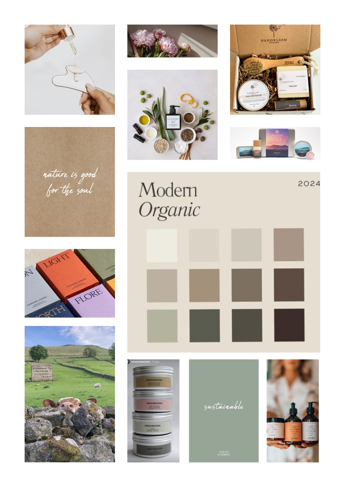 I would love your help on Tarro Branding Ideas