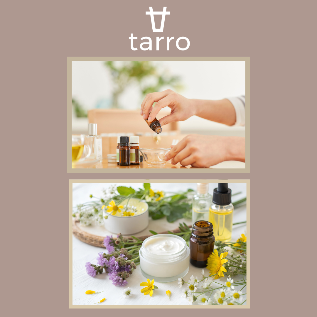 Tarro x Vida Wellness Summer Event
