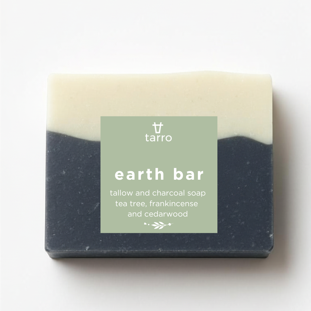 Earth Bar Charcoal & Clay Tallow Soap