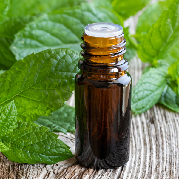 Peppermint Essential Oil