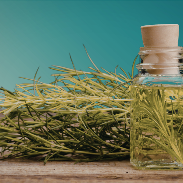 Rosemary Essential Oil